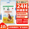 Farinha Chuangxing Xinjiang Qitai 5kg Farinha Floco Direto do Fabricante Farinha de Trigo com Alto Teor de Glúten Farinha Autêntica para Pão