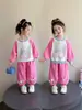 Conjunto de Primavera 2026 para Meninas Nova Moda de Primavera Moletom Estiloso Infantil e Calça Casual Conjunto de Duas Peças Roupas de Bebê