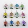 12 piezas árbol pequeño flor seca flor real encaje colgante set redondo amor cuadrado ovalado Amazon AliExpress