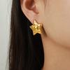 Nova moda simples selvagem nicho design titânio aço chapeado ouro 18K cinco pontas estrela textura brincos joias atacado feminino