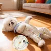 Faixa Respirável de Gaze para Barriga de Cães Pequenos para Primavera e Verão, Roupa com Ar Condicionado para Gatos, Roupa de Quatro Patas para Cães Teddy, Roupas para Cães de Estimação