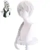 2025 Bungou Stray Dog Nikolai Gogol Gogol Prata Branco Cor Mista Peruca Cosplay sob a Verdade