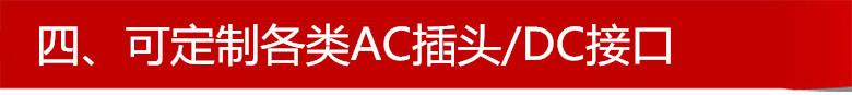 四、可定制各类AC插头DC接口