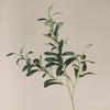 Artificial único 4-fork oliveira folha decoração para casa casamento ramo de oliveira arranjo de flores sala de estar decoração pátio paisagem modelagem