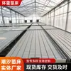 Invernadero de Cama de Marea para Plántulas Invernadero de Cama de Marea Cultivo de Plántulas de Flores Plantación en Invernadero de Cama de Marea Plántulas Cultivo de Verduras Cama de Marea para Plántulas