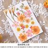 Bolsa de Material para Repujado de Flores Secas Transfronteriza Cara Pétalo Maquillaje Hoja Adhesivo Espécimen de Planta Flor Real Hecho a Mano Material DIY