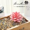 Suculentas Loto Goteando Suministros Creativos DIY Accesorios Pared de Plantas Flor de Plástico Venta Directa de Fábrica Jinhua Generación de una Pieza