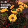 Luces Solares para Jardín al por Mayor, Luces para Paisajismo de Jardín, Luces Simuladas de Girasol, Luces para Césped, Luces Ambientales