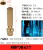 Columna de Flor de Manantial de Cedro DC Universal Ventilador en Forma de Champiñón Fuegos Artificiales Cola de Pavo Real con Válvula Fuente de Agua Aspersor para Fuente de Paisaje