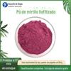 Pó Liofilizado de Mirtilo FD 99% Pó de Mirtilo Extrato de Mirtilo Liofilizado em estoque 1kg para venda