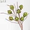 Plantas Verdes Artificiais Simuladas, Móveis para Casa, Pinhas Decorativas, Adereços para Fotografia de Frutas de Eva, Arranjos de Flores Suculentas, Arranjos Florais