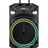 Nuevo altavoz de escenario portátil con ruedas de 15 pulgadas con micrófono de carga dual inalámbrica + control remoto SP-260427-8
