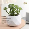 Plantas en Maceta de Suculentas de Diamante Simuladas al por Mayor, Decoración del Hogar, Plantas Suculentas para Oficina, Adornos de Plantas Verdes, En Stock, Entrega Inmediata