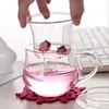 Taza Filtro de Vidrio de Borosilicato Alto Vaso de Agua Oficina Hogar Capa Única Tres Piezas Taza de Té Transparente Redonda Taza Divertida