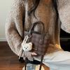 Bolsa de Ombro Pequena para o Dia a Dia Bolsa Tote Feminina 2025 Nova Outono e Inverno Retro Acessível Luxo Nicho High-End Bolsa de Ombro Único Transversal