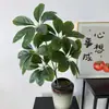 Hojas de la Fortuna Simuladas, Paisajismo de Jardines, Macetas de Flores Artificiales, Decoración de Sala de Estar, Plantas Verdes, Árboles de la Fortuna de Interior, Florales Creativos al por Mayor