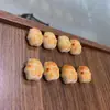 Carbón a la Parrilla de Marfil Natural Cabeza de Bob Esponja Corazón de Conejo Salchicha de Pan Pastel de Luna Joyería de Moda Accesorios