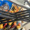 Corda Elástica de Alta Elasticidade Personalizada Redonda de Látex Preto Núcleo Macio Fio Enrolado Elástico Acessórios de Cordão para Roupas