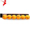 REGAIL Tenis de Mesa al por Mayor Enjaulado Entrenamiento Estudiante Tenis de Mesa Paquete de 6 Pelota de Entrenamiento Estándar Internacional
