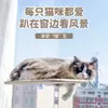 Hamaca para gatos para uso en casa, cama colgante para que los gatos tomen el sol, cama para gatos de balcón, tipo ventosa, artículos para mascotas de vidrio, nido para gatitos