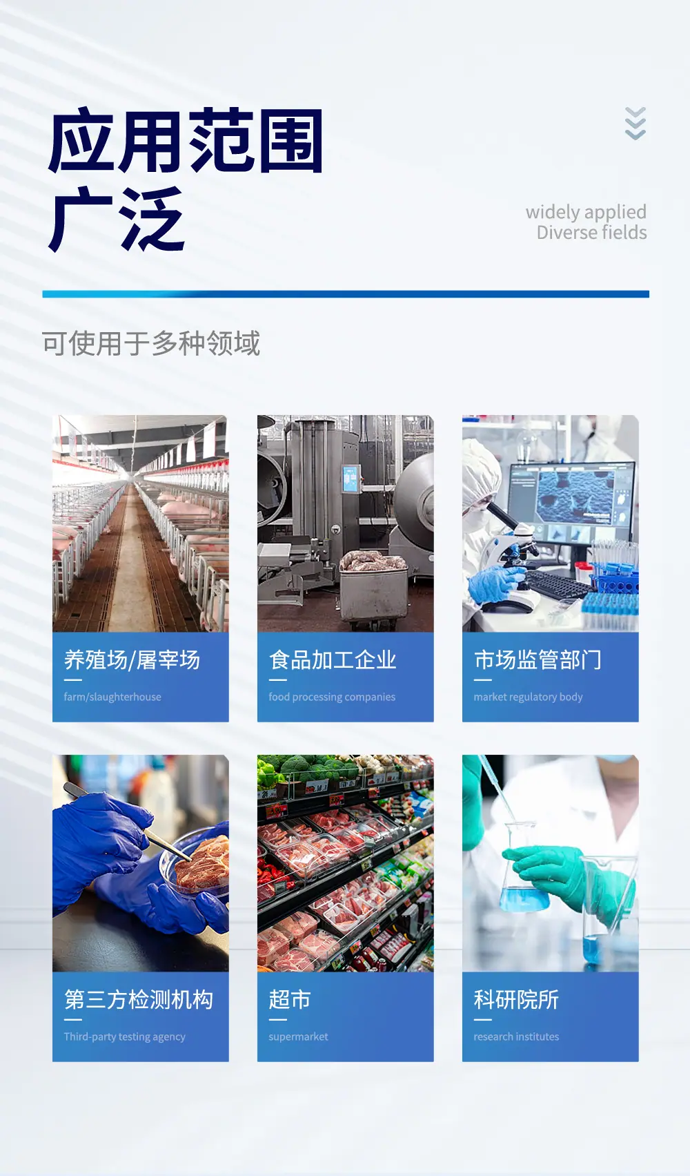 金标详情_03