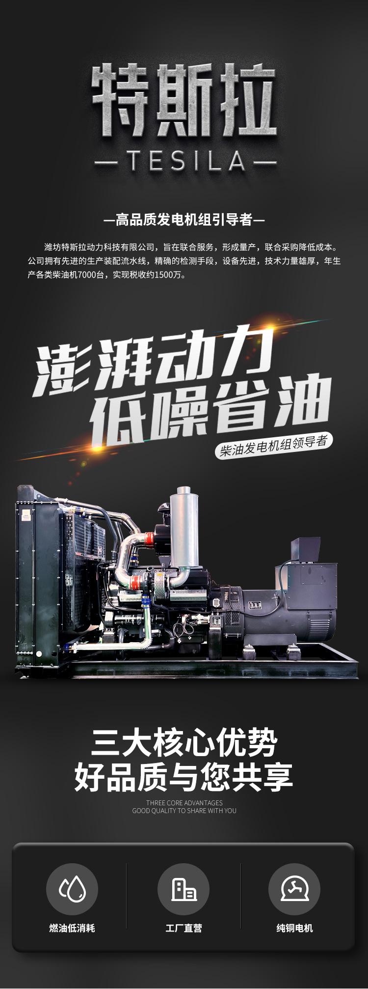 特斯拉_01.jpg
