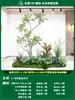 Paisagismo de Planta Artificial Varanda Arranjo de Paisagem Escada Interna Sob Árvore de Flores Artificiais Decoração Biomórfica Planta Verde Paisagismo Combinação