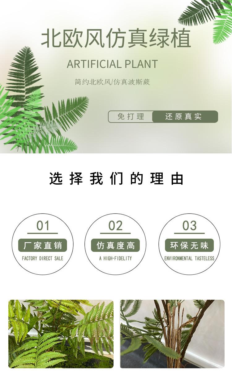 未标题-1_01.jpg