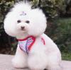 Correa para perro de primavera y verano, correa de mezclilla para exteriores para gato, correa para el pecho para perro, suministros para correa de perro, gato teddy disponible