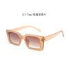 2022 Nuevos Personalizados Más Fáciles de Combinar Gafas de Sol para Hombre Fotografía Callejera Tendencia Gafas de Sol Transfronterizas para Mujer Gafas de Sol de Moda de Montura Cuadrada Europeas y Americanas