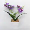 Novo Vaso Quadrado de Pedra Branca com 2 Garfos e 5 Orquídeas Borboleta, Planta em Vaso para Decoração de Sala de Estar Varanda de Casa, Bonsai de Flor Artificial