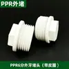 Liqin PPR/POM 4 Minutos 6 Minutos 1 Pulgada Plástico/Tapón de Alambre Interno/Tapón de Rosca Externa/Con Anillo de Cuero Tapa de Tubería Tapón de Tubería