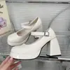 Zapatos de Cuero Cuadrados Estilo Francés, Zapatos Mary Jane de Tacón Grueso de Nicho para Mujer, Nuevos Zapatos de Salón Elegantes de Tacón Alto Vintage Primavera 2025