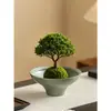 Vaso de Cerâmica Criativo Bandeja de Bola de Musgo Vaso de Flor Vaso de Samambaia Recipiente Hidropônico Sem Furo A16
