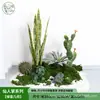 Cactus Agave Artificial Tropical en Maceta Decoración de Escena Interior Adornos Set de Cactus Planta Falsa Paisajismo