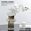 Vaso Transparente de Vidro para Chá Retrô Francês Casa Cultivo de Plantas Verdes Flores Hidropônico Redondo Reto Vidro Ilustração Conjunto de Flores