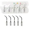 Consejos de Trabajo para la Máquina de Limpieza Dental Se Puede Equipar con Varias Cuchillas para Dispositivo de Limpieza Dental Ultrasónica para Eliminar el Sarro Dental