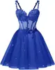 Estilo Nuevo 2026 Elegante Ceñidor de Cintura Sin Tirantes Malla Fiesta de Cumpleaños Dama de Honor Vestido de Noche para Mujeres, Suministro Transfronterizo