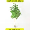 Folhas de Eucalipto e Árvore de Begônia Verde Artificial Grande Planta Decorativa Árvore Artificial de Chão Planta Decorativa em Vaso Planta Artificial Estilo Nórdico