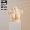 Soporte de Exhibición para Modelo de Ropa Interior Torso Femenino Levanta y Recoge Busto Maniquí Exhibidor de Ventana Soporte de Exhibición para Traje de Baño