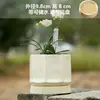 Vaso de Cerâmica para Flores com Prato, Estilo Ins de Luxo Leve, Diâmetro Grande, Estilo Creme, para Orquídeas e Suculentas, Liquidação