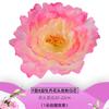 Cabeza de Flor Simulada Flor de Seda Boda Flor de Seda Accesorios Linterna LED Utilería para Fotografía Flor de Peonía Luz Nocturna