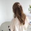 Duo Wei Joias Primavera Nova Coreana Acrílico Acessórios de Cabelo Menina Fresca Presilha de Cabelo Grande Elegante Presilhas de Cabelo Femininas