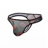 Direto da fábrica cueca fio dental masculina de malha com detalhe em lábio em T, cintura baixa, sexy, translúcida, fina, para jovens