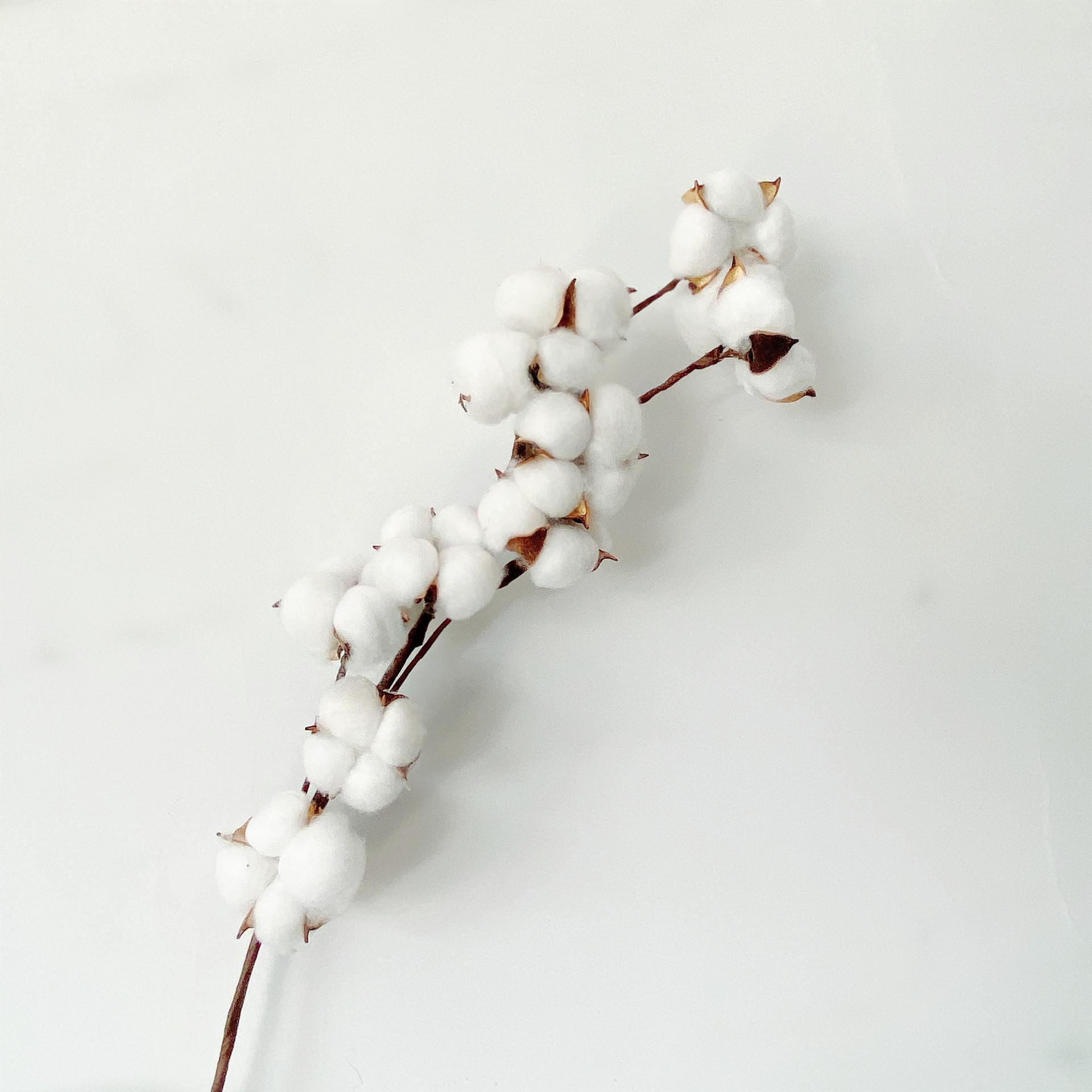 IMG_0548(20200429-093822)