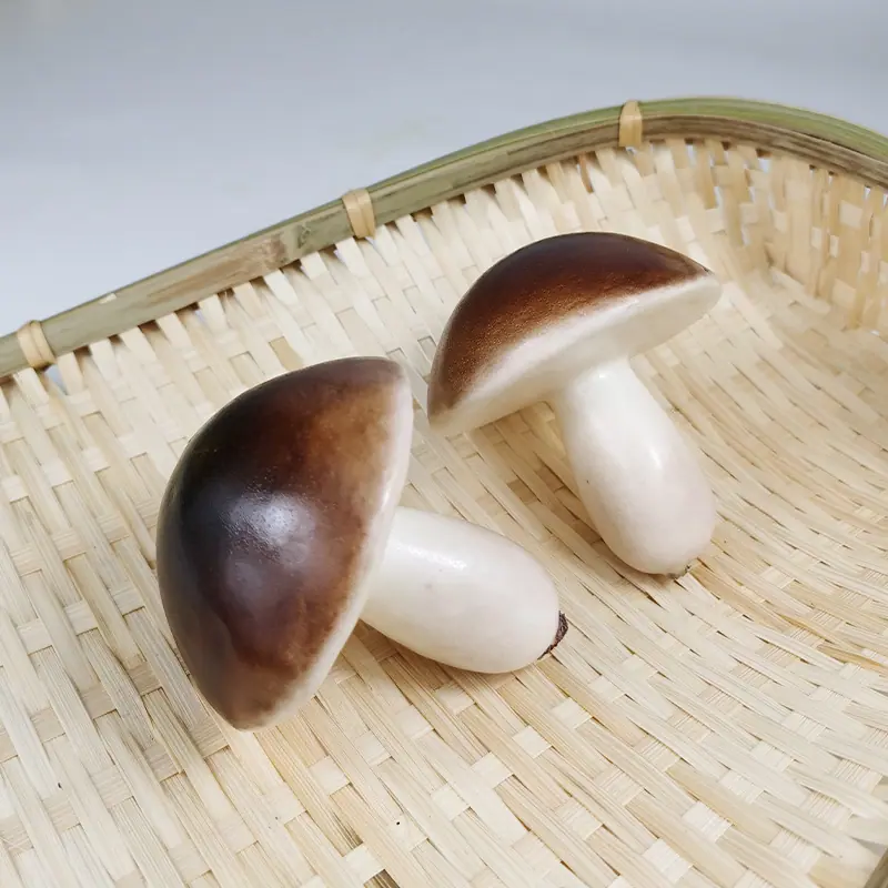蘑菇