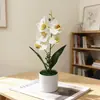 Vaso em formato reto com cinco orquídeas Phalaenopsis artificiais, bonsai para decoração de casa e escritório, arranjo de flores artificiais, cenário para fotografia, ornamento de planta verde