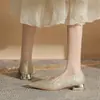 Jin Gang CG3020 Zapatos de tacón grueso de punta con lentejuelas de una sola capa para mujer 2024 Nuevos de primavera y otoño Sexy de tacón bajo combinables con todo de boca poco profunda para mujer