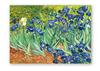 Pintura al Óleo de Van Gogh Noche Estrellada Girasol Pintura en Lienzo Póster Decoración Moderna para Sala de Estar Dormitorio Pintura Colgante Núcleo de Pintura sin Marco