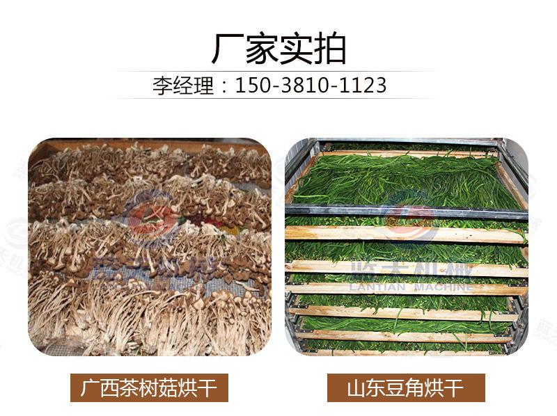 茶树菇烘干机详情_23.jpg